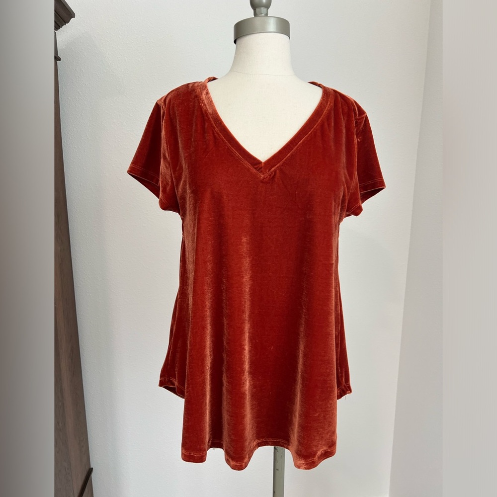 Burnt orange velvet like stretch blouse - M